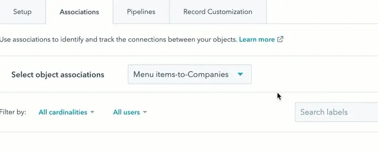 define-custom-object-association