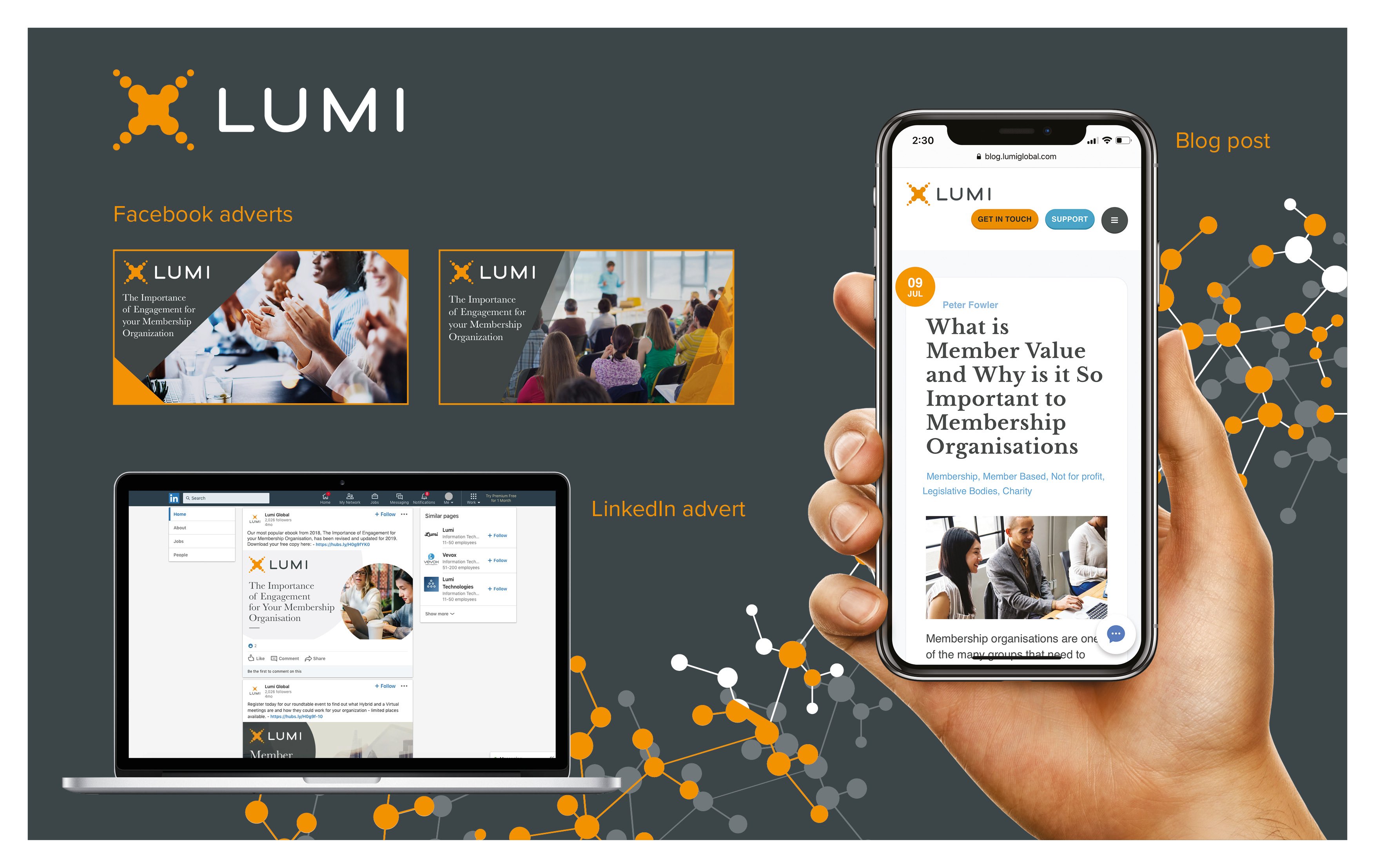 lumi paid social media marketing